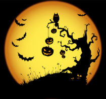 TPLF's Post Halloween Drama